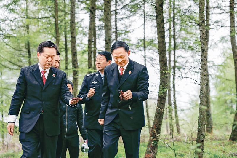 自2019年4月以來,重慶市巫溪縣人民檢察院聯合陜西省鎮坪縣、湖北省竹溪縣、神農架林區檢察機關和林業部門,制定協作機制,通過共享跨區域刑事司法案件信息、建立聯動巡山機制等,助力林業生態保護持續向好發展。圖為2020年4月22日,重慶市巫溪縣人民檢察院聯合陜西省鎮坪縣人民檢察院組成的跨區域聯合行動小組,在雞心嶺地區開展聯合巡山活動。 新華社發 黃偉/攝