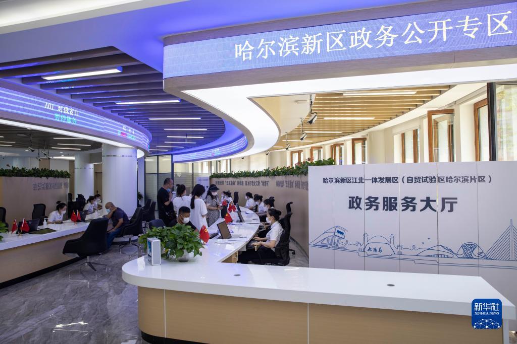 在黑龍江省哈爾濱新區江北一體發展區(自貿試驗區哈爾濱片區)政務服務大廳,市民在辦理業務(2022年7月12日攝)。